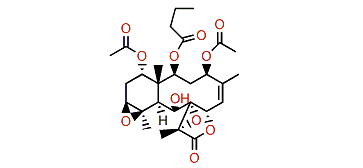 3-Acetoxystecholide E